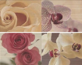 Плитка MOODS ENFLEUR MULTICOLOR ДЕКОР