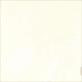 Плитка APE CERAMICA SOUK BONE СТЕНА