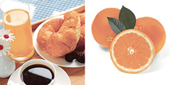 Плитка BLANCO  ZUMO ДЕКОР