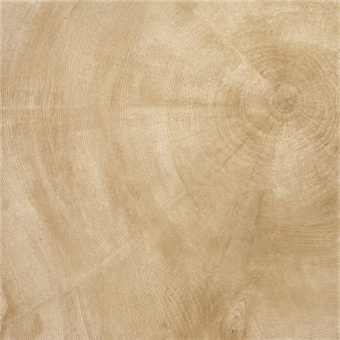Плитка W-AGE 60653P HEARTWOOD BEIGE ПОЛ