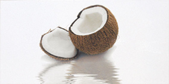 Плитка BLANCO COCO ДЕКОР