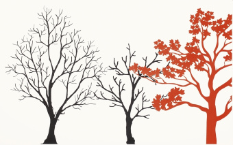 Плитка Paradyz Veo Bianco Inserto A Декор