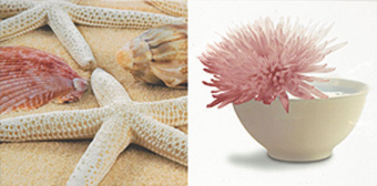 Плитка BLANCO BATH II ДЕКОР