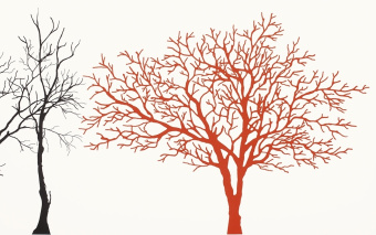 Плитка Paradyz Veo Bianco Inserto C Декор