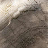 Плитка Cisa Royal Marble Noce Lap 170161 Пол 495Х495